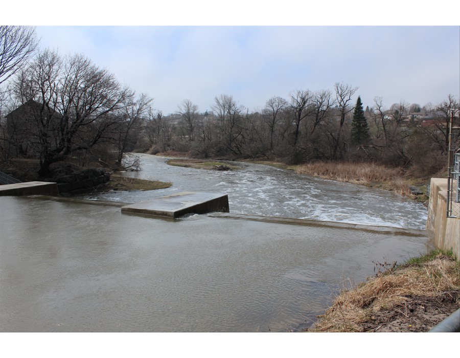 Ganaraska River, Port Hope 