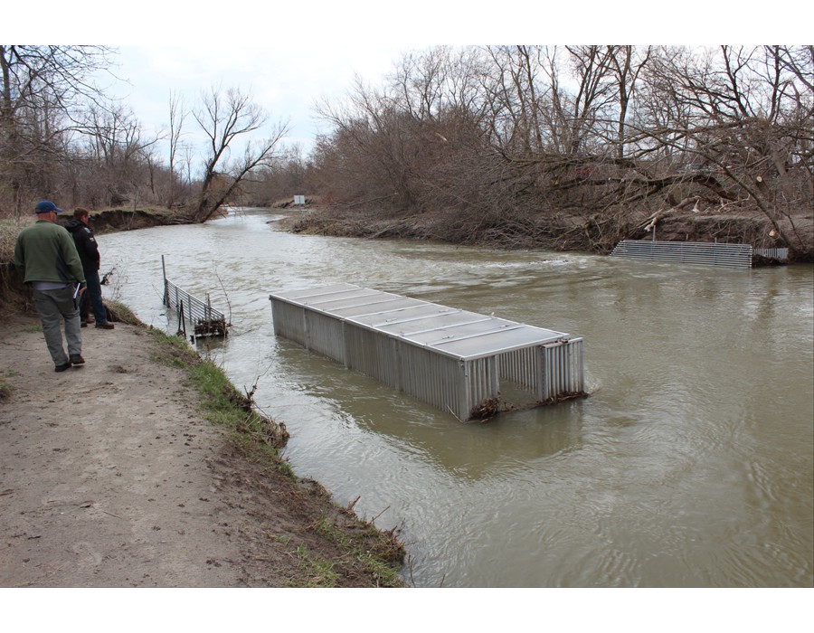 Atlantic Salmon monitoring in Duffins Creek, Pickering 