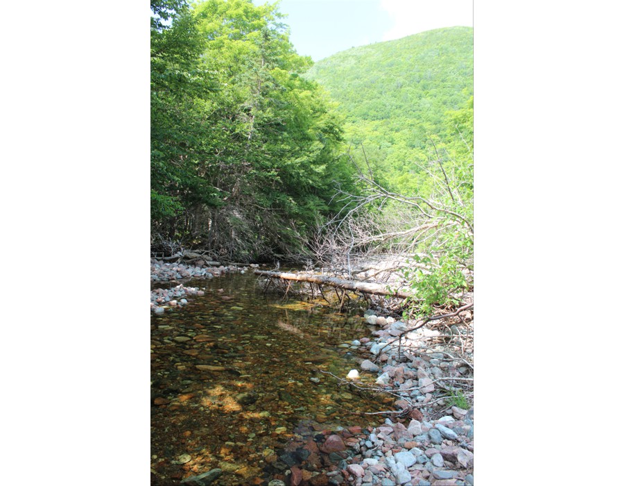 Cabot Trail, Nova Scotia