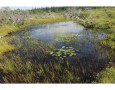 Wetland Evaluation