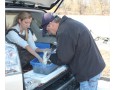 Radio Tagging a Walleye