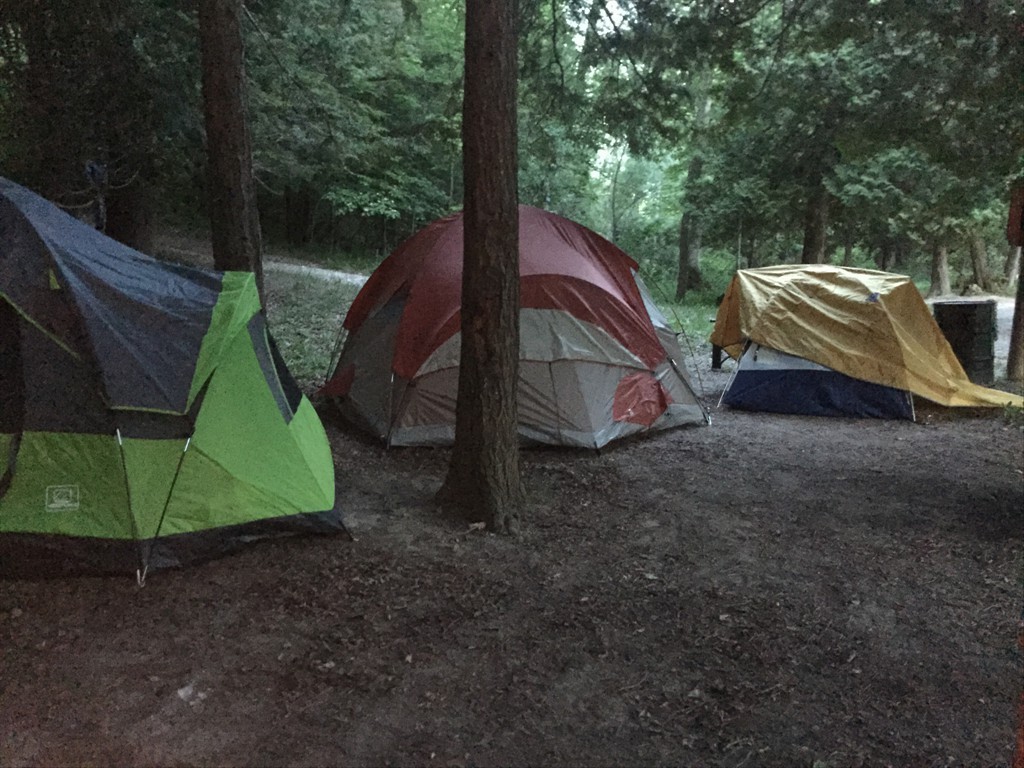 Biotactic campsite