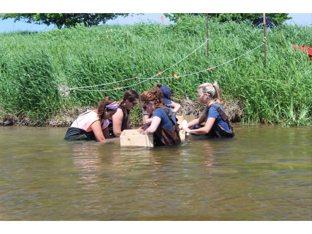 Detecting and relocating freshwater mussels in the Teeswater River