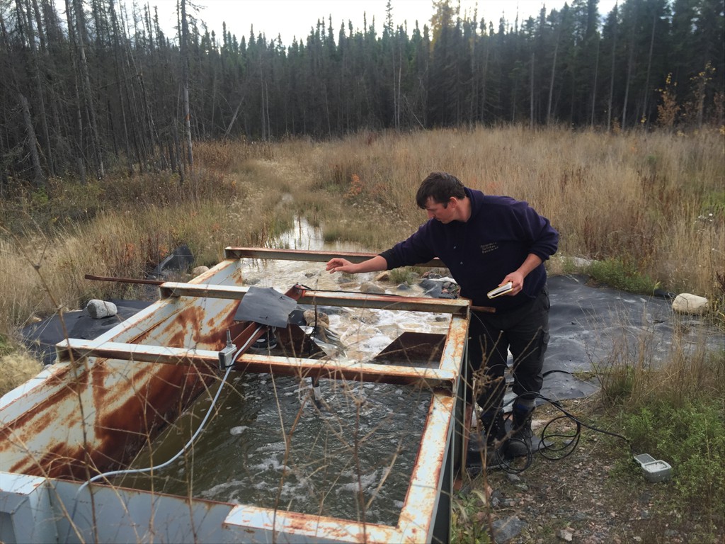 Measuring conductivity of tailings outflow, Bucko Lake, Wabowden