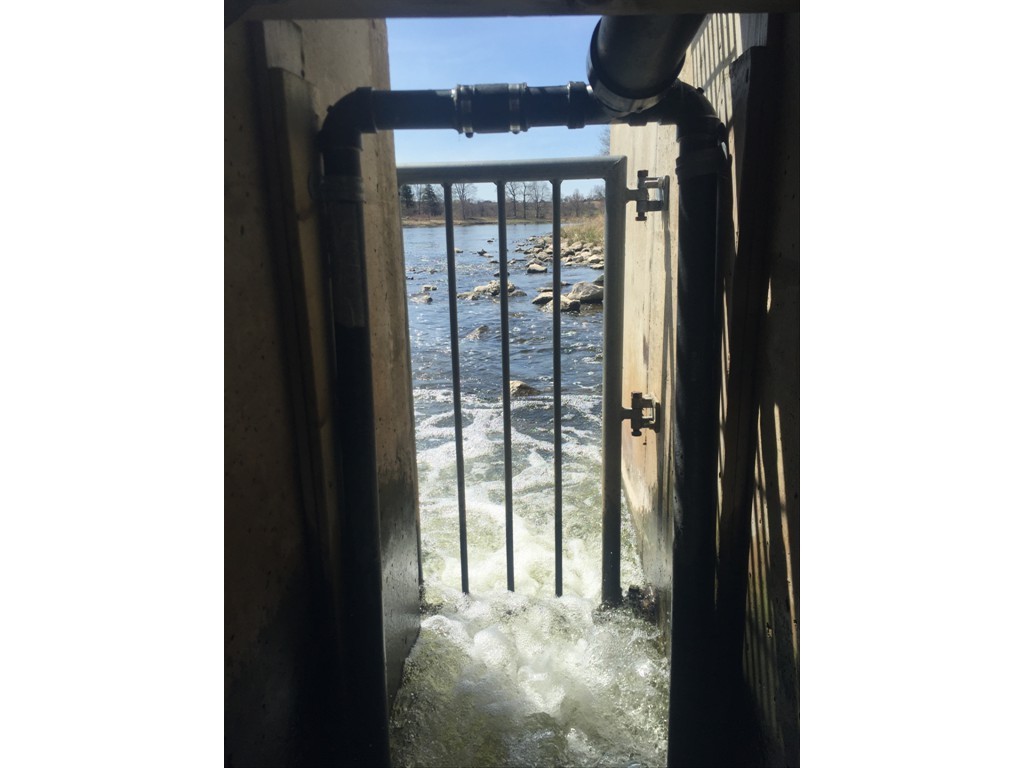 PIT tracking antenna in a Denil Fishway, Grand River, Kitchener, Ontario