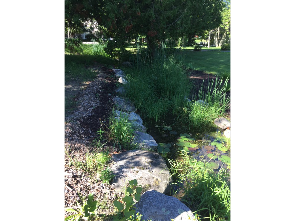 Proposed culvert at Laurel Creek