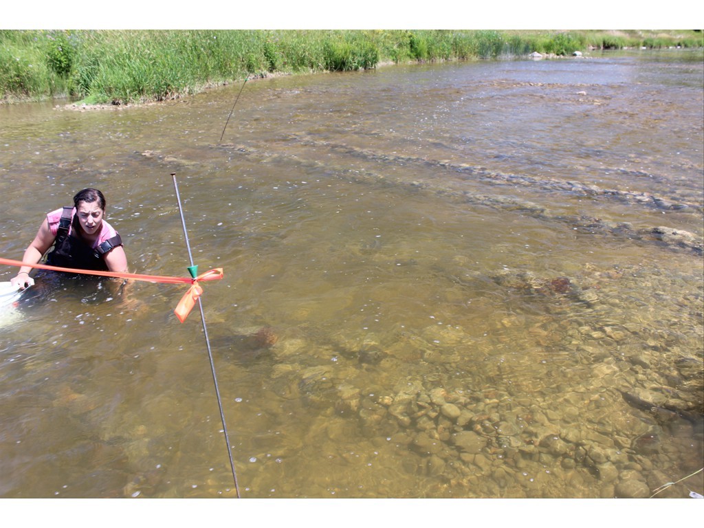 Replacing measured mussels in the relocation area