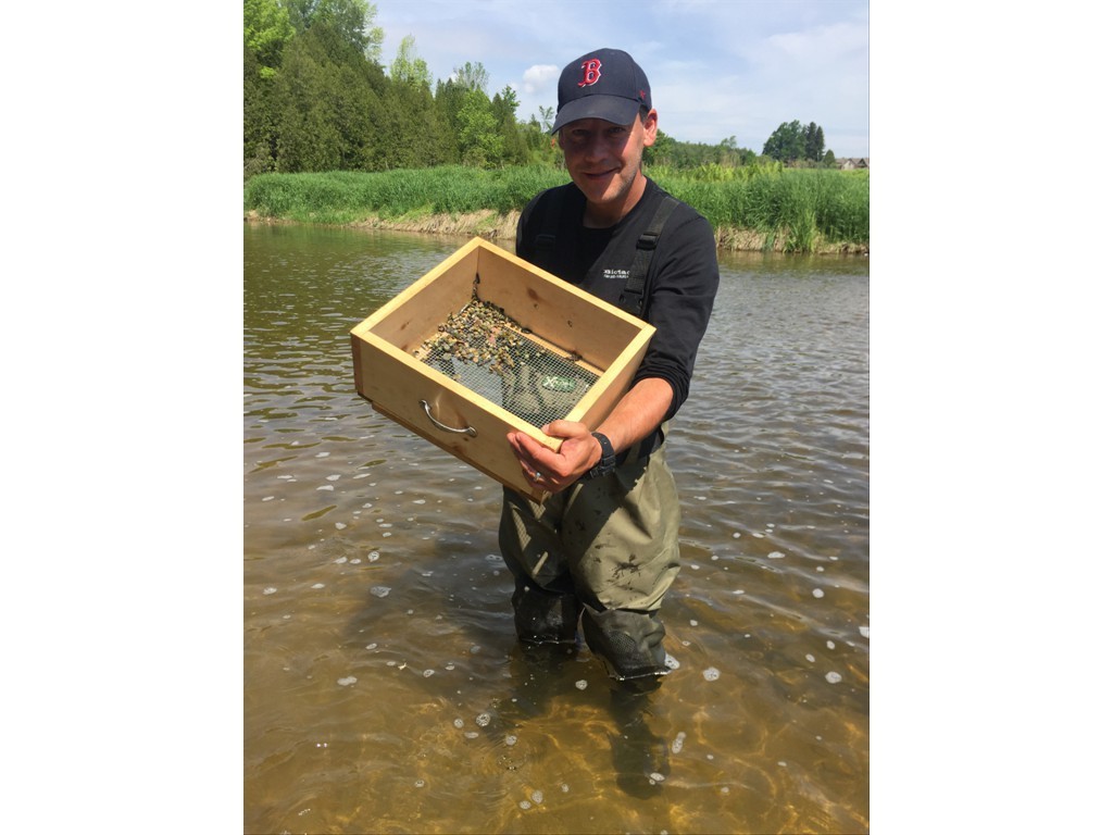 Sieving for juvenile mussels in the Teeswater River