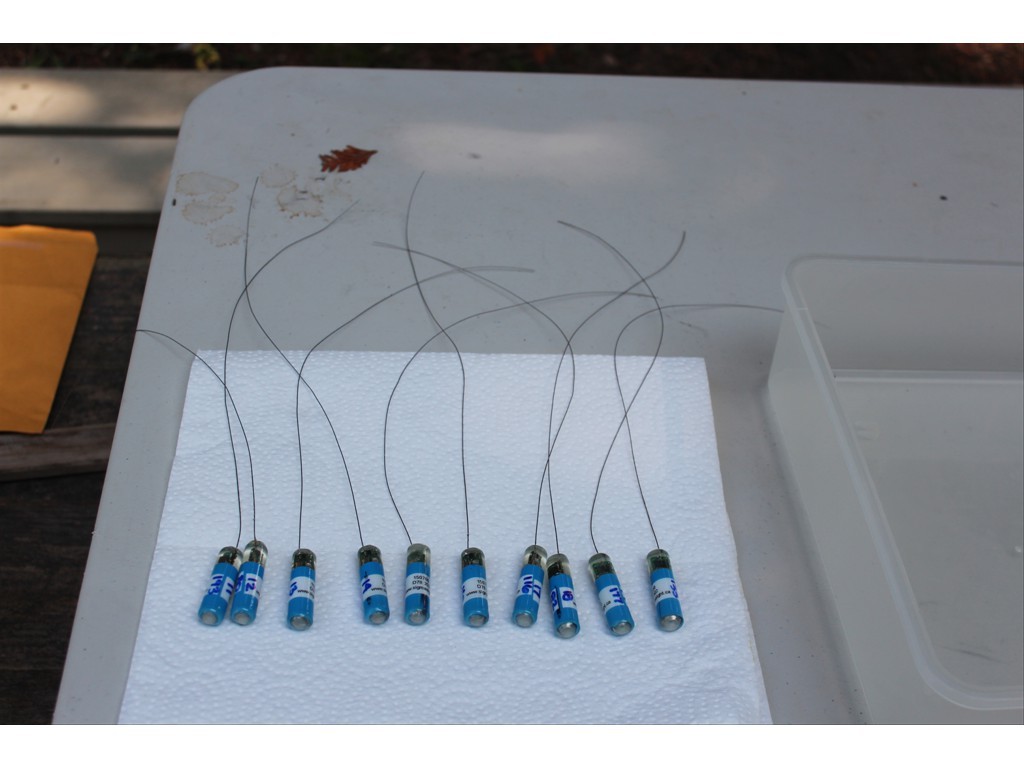 Transmitters to be implanted in Largemouth Bass for a mult-year tracking study in Lake Eugenia