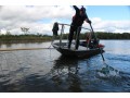 Boat electrofishing in Lake Eugenia