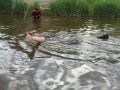 Snorkeling for mussels