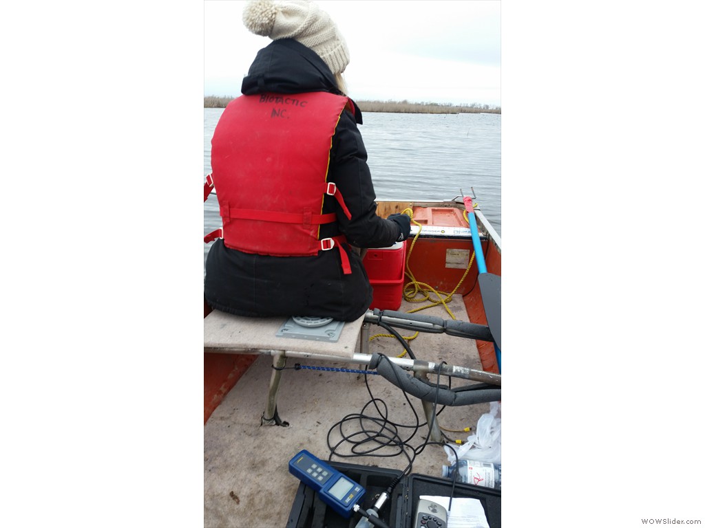 Baseline fish community study in the Lake St. Clair National Wildlife Area