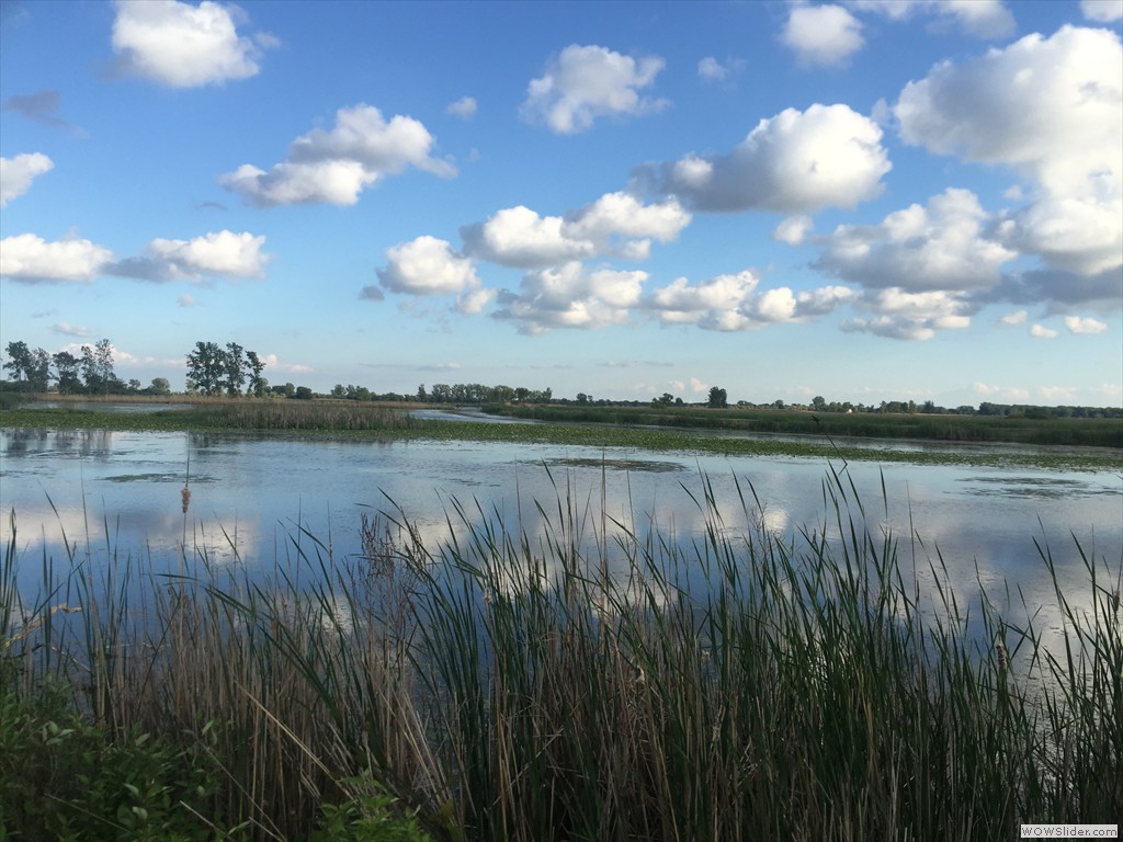 Beautiful day collecting baseline data in the East Cell, Lake St. Clair National Wildlife Area