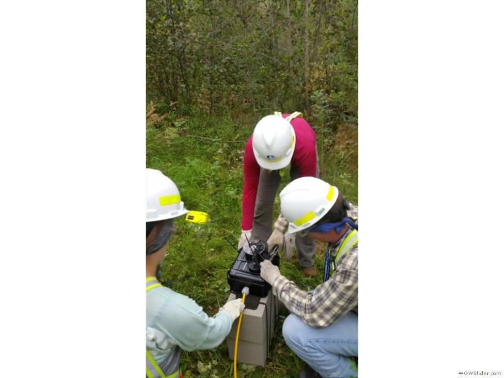 Installation of underwater fish monitoring system