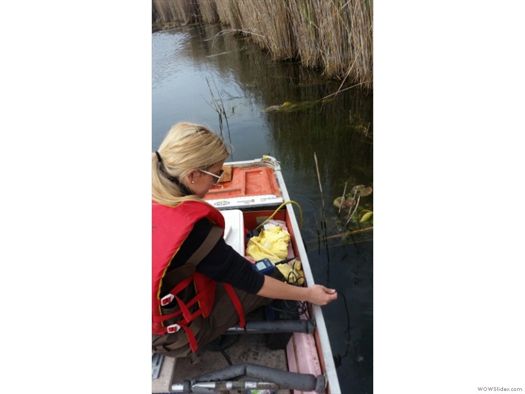 Sampling location in the St. Clair National Wildlife Area