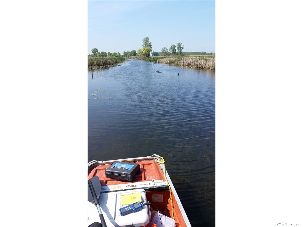 Sampling with fyke nets in the St. Clair NWA