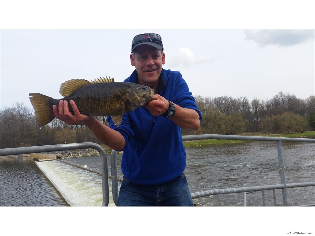 Smallmouth Bass capture in denil fishway trap during monitoring