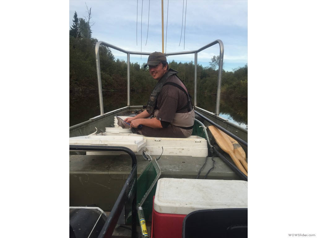 Sorting target species captured via boat electrofishing