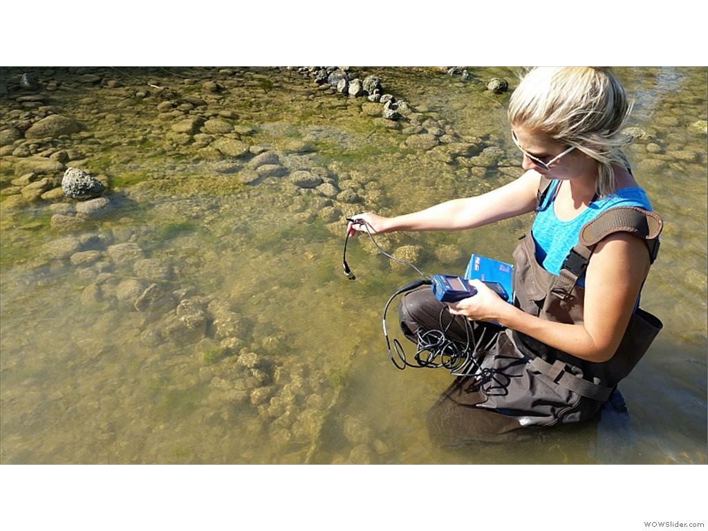 Water quality at mussel relocation transects