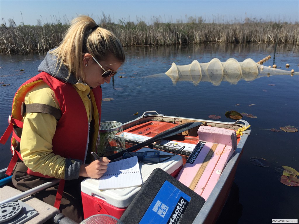 Water quality testing at sampling station