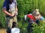 Measuring mussels during the one-year post reloaction monitoring in the Teeswater River