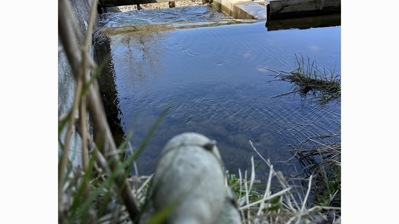 Monitoring fish passage at the modified pool-and-weir fishway at Maple Hill Dam