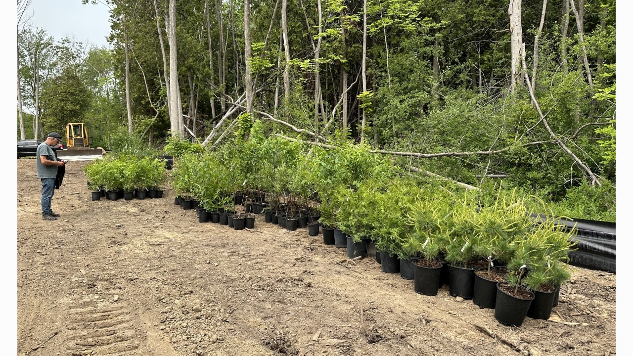 The trees have arrived! Getting ready to plant 275 trees and shrubs to restore a cleared forest plot in Guelph