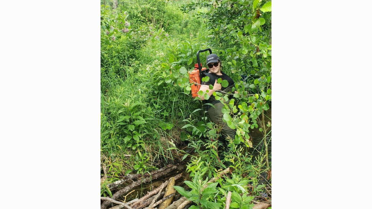 First electrofishing survey of the year, Strasburg Creek, Kitchener