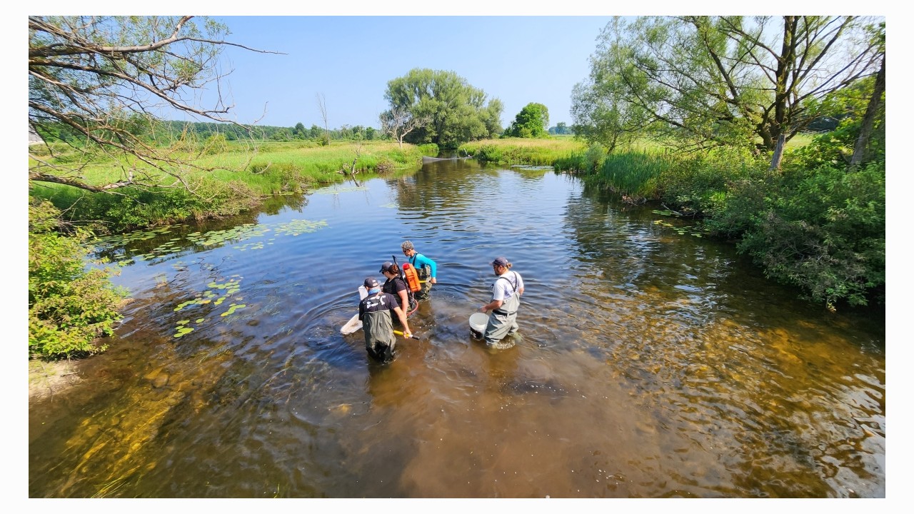 Sampling the Styx River near Allan Park