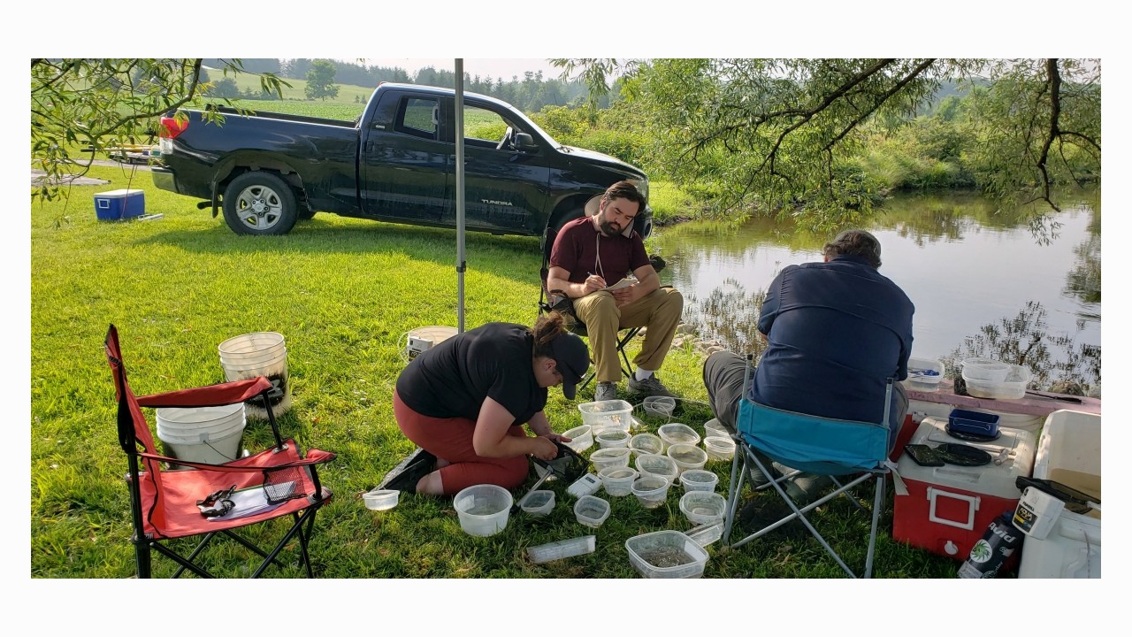 Sorting, sorting and more sorting. It’s one thing to catch them, but each fish must be individually identified, weighed and measured before being released back into the site