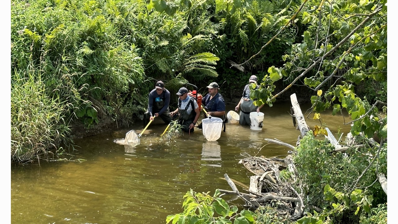 Are we back in Brazil? Nope, just sampling in a particularly lush part of Meux Creek!