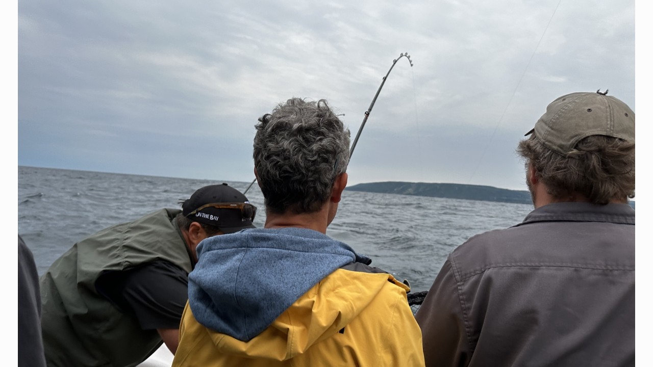 Capping off the summer field season with some recreational Lake Huron fishing