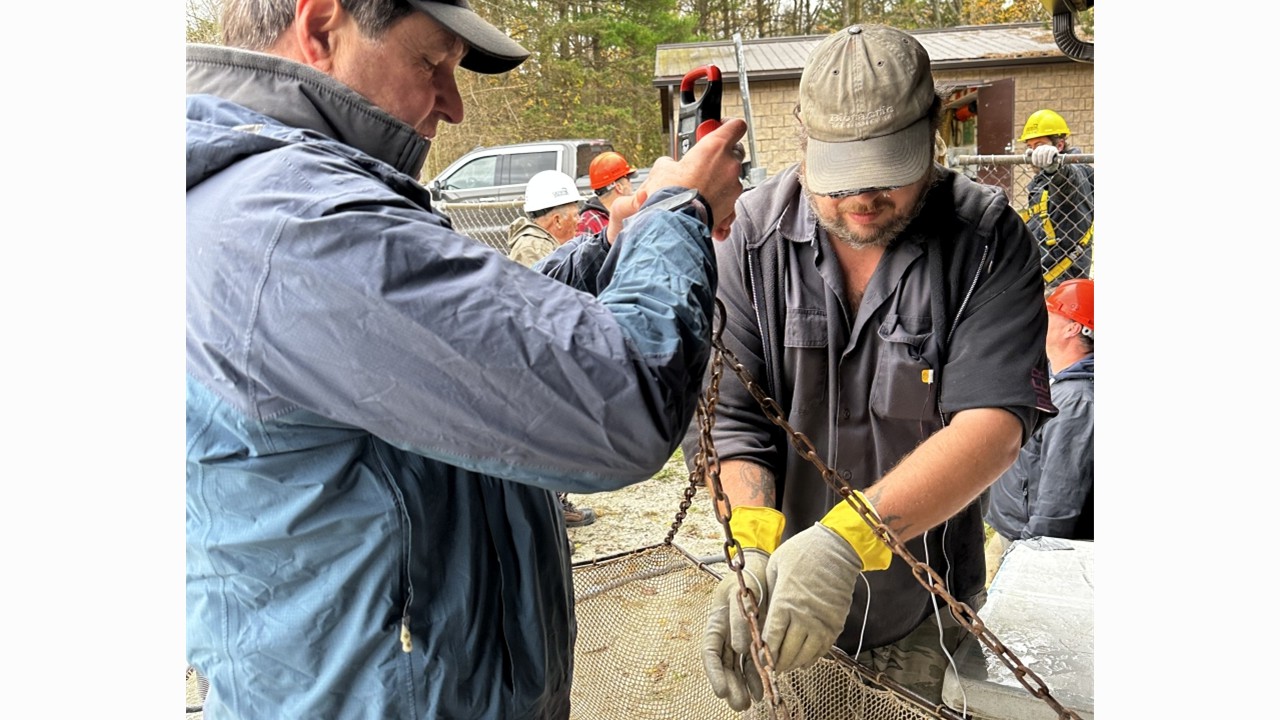 Processing fish before they get tagged