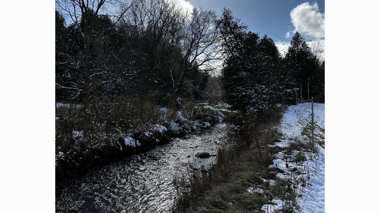 A beautiful snowy Otter Creek during redd count surveys