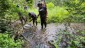 Electrofishing a section of Otter Creek in the town of Mildmay