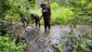 Electrofishing a section of Otter Creek in the town of Mildmay