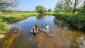 Sampling the Styx River near Allan Park