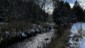 A beautiful snowy Otter Creek during redd count surveys