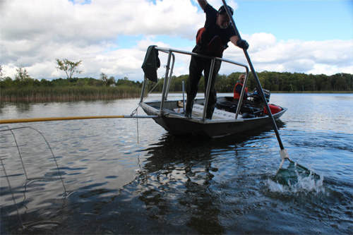 electrofishing