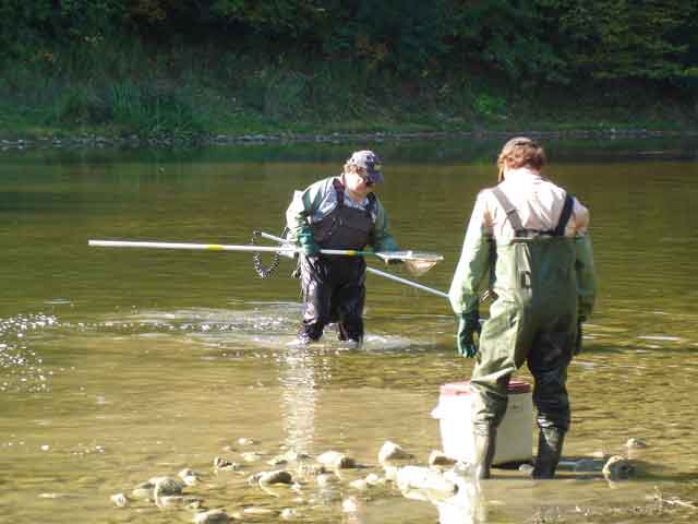 electrofishing netting