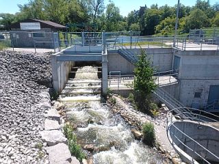 Thornbury Dam nature-like fishway upstream view