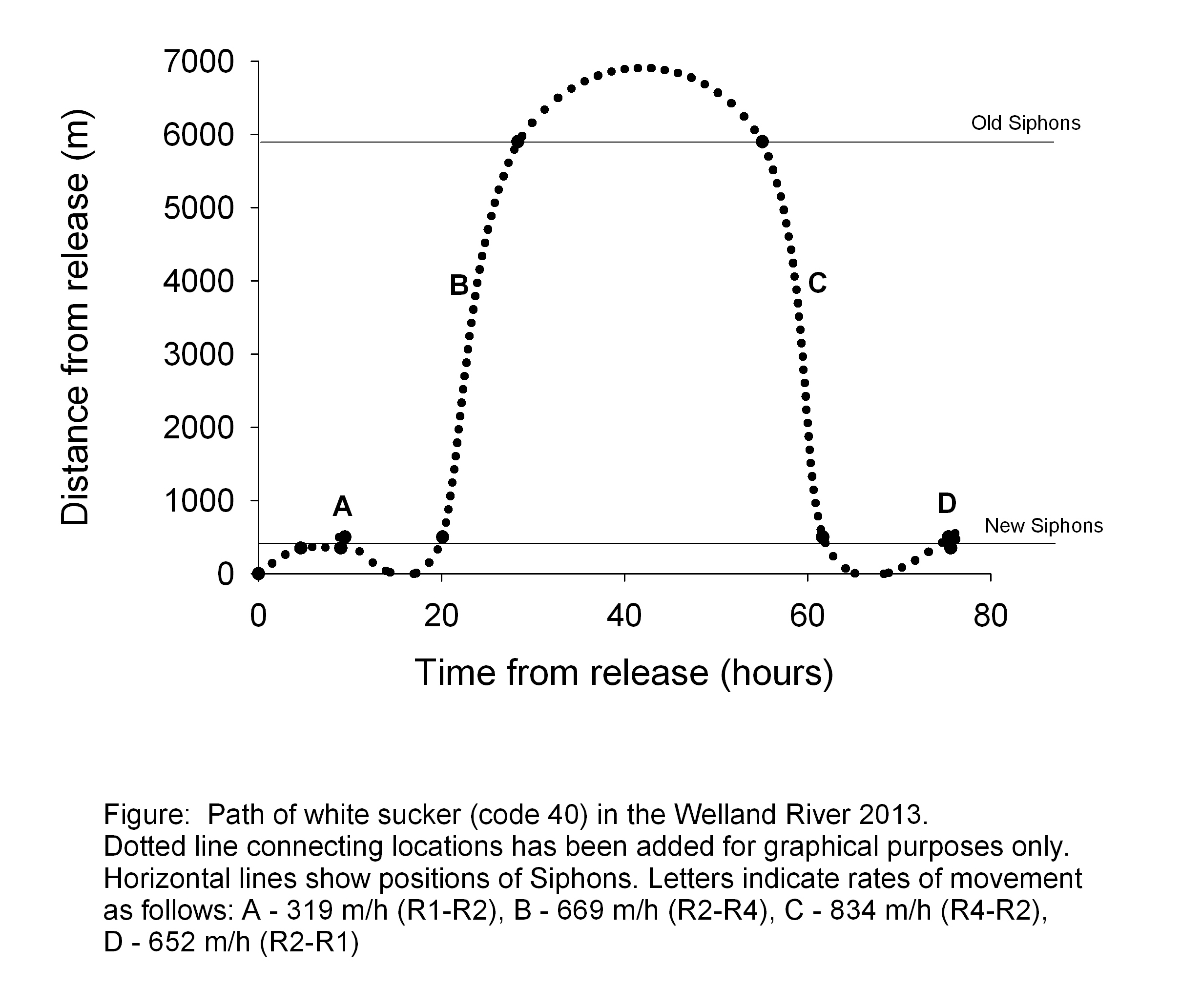 fish movement graph