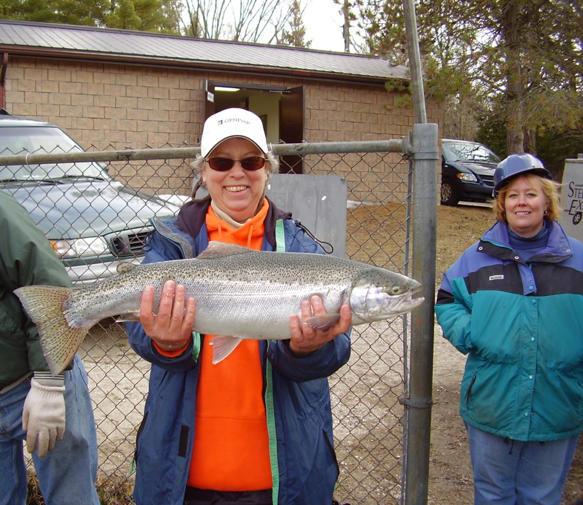 female rainbow trout