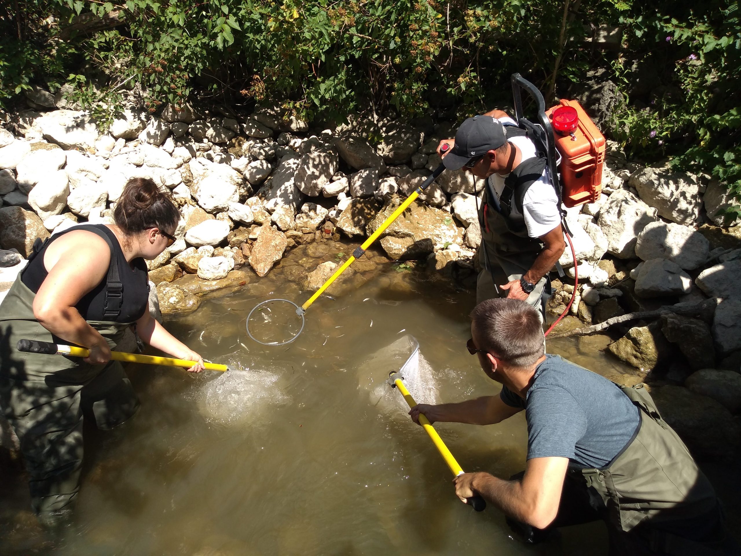 electrofishing standing water