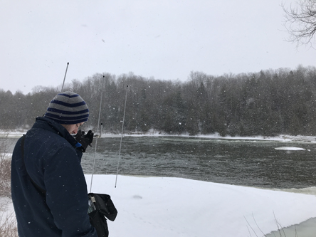 radiotracking rainbow trout