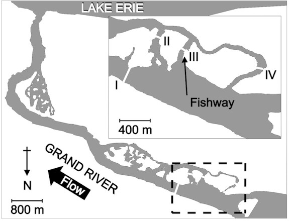 grand river diagram