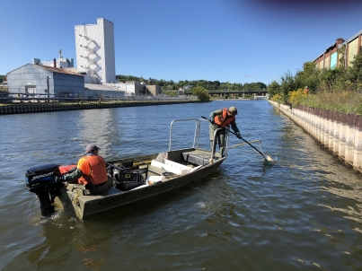 boat electrofishing fish salvage