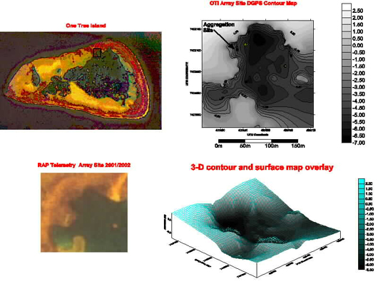 one tree island coral trout telemetry mapping