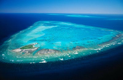 one tree island aerial image