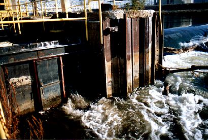 entrance vertical slot fishway